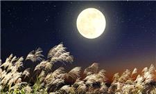 کاشت برنج در خاک ماه/ نوآوری جدید ژاپنی‌ها