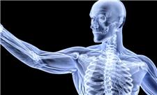 ورزش‌های پرشتاب؛ محرک اصلی استخوان‌سازی | آخرین خبر