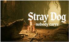 بازی سولزلایک Stray Dog: Nobody Cares با حضور یک سگ شمشیرزن حسابی خبرساز شد | آخرین خبر
