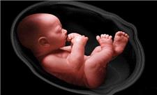 خطر پنهان ویپ برای جنین؛ آزمایش‌ها چه چیزی را نشان دادند؟