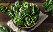 کاهش اگزالات بدون حذف گیاهان؛ راهکاری برای مبتلایان به بیماری التهابی روده