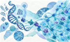 حرکت از مقیاس نانو به شبکه‌های هوشمند با هیدروژل‌های DNA–پروتئین