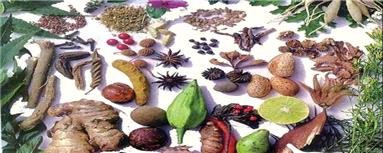 گیاهان دارویی، قاتل چربی خون بالا