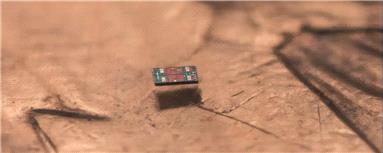 انقلاب در مقیاس میکرو: کوچکترین ربات مستقل دنیا به اندازه دو تار مو عرض دارد