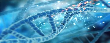 هوش مصنوعی دی ان ای را پیش‌بینی می‌کند