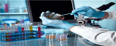 رصد جهش ژنتیکی در فرزندان پاکسازی‌کنندگان حادثه چرنوبیل