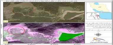 «خیام» کاهش پوشش جنگلی اطراف دریاچه سوها را ثبت کرد