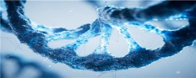 ساخت پرسرعت‌ترین رایانه مبتنی بر DNA