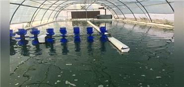 دستیابی به فناوری هوشمند ریزجلبکی برای تصفیه آب و جذب دی‌اکسیدکربن در ایران