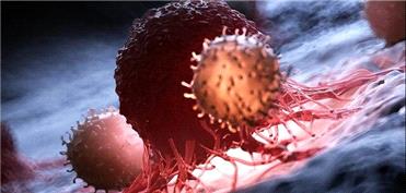 کشف پروتئینی که رشد سرطان را کُند می‌کند