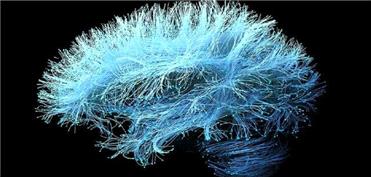 رقیب جدید نورالینک با امواج فراصوت وارد میدان شد