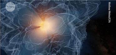 نگاهی به تصاویر برتر علمی ماه به انتخاب مجله نیچر