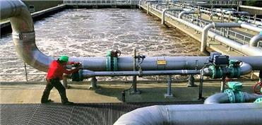 تبدیل ضایعات چوب به جاذب تصفیه پساب‌های صنعتی در دانشگاه آزاد شهرری