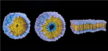 نسل جدید ربات‌ها که مانند زیردریایی در بدن شنا می‌کنند