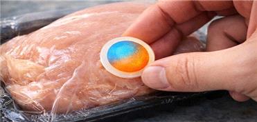 ایروژل‌های هوشمند برای تشخیص فساد مواد غذایی طراحی شدند