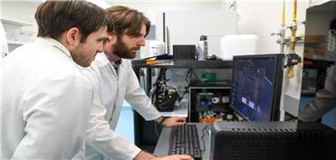 دانشمندان به مغزهای آزمایشگاهی نحوه حل یک مسئله مهندسی را آموختند