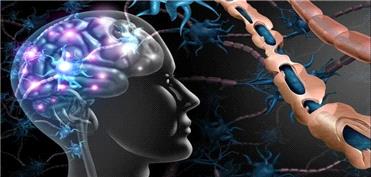 اِم‌اِس ممکن است بیش از یک دهه پیش از بروز علائم آغاز شود