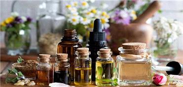 ارتقای دانش تجاری‌سازی و استانداردهای تولید در حوزه گیاهان دارویی