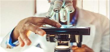 استفاده از قارچ خوراکی برای تبدیل پسماندهای صنعتی به محصولات باارزش