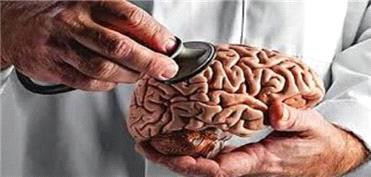 استخوان و مغز همزمان پیر می‌شوند؟