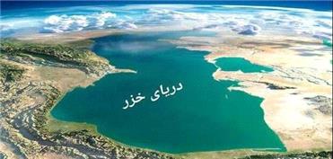 استقرار زیستگاه‌های مصنوعی برای حمایت از تنوع زیستی سواحل جنوبی خزر