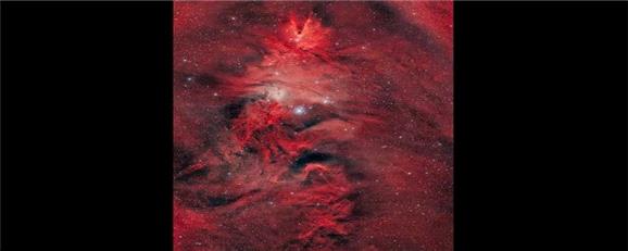 تک‌شاخ، خز روباه و درخت کریسمس در آسمان!