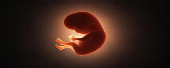 سقط جنین از نگاه مردان؛ روایتی کمتر شنیده‌شده