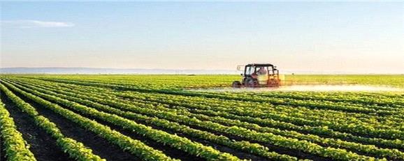 رفع تنگناهای فناورانه زنجیره برای کاهش وابستگی در حوزه غذا و کشاورزی