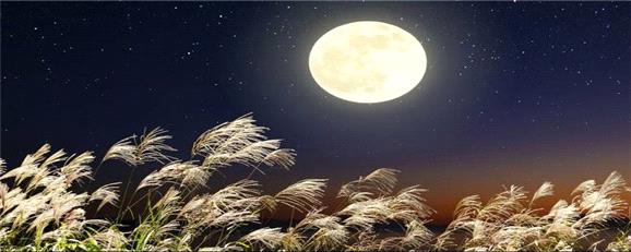 کاشت برنج در خاک ماه/ نوآوری جدید ژاپنی‌ها