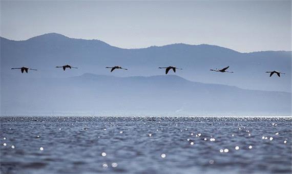 مصوبات ستاد ملی هماهنگی و مدیریت تالاب ها برای احیای میانکاله و خلیج گرگان پیگیری می شود