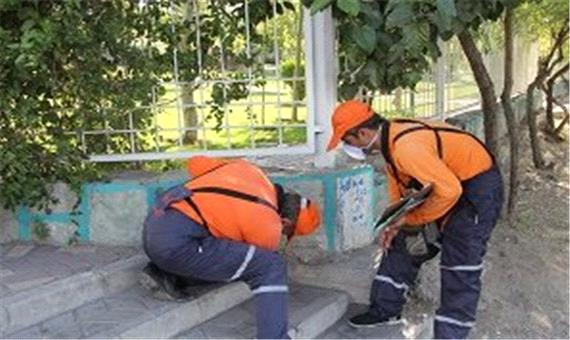 شناسایی و امحاء کلونی های جانوران موذی در شمال شرق تهران