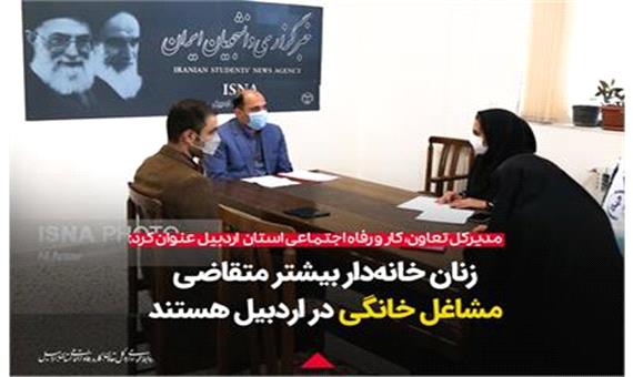 بیشترین متقاضی مشاغل خانگی در اردبیل، زنان خانه‌دار هستند