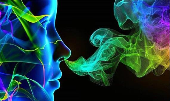 تشخیص بمب و مواد مخدر با نانوسنسورهای ایرانی