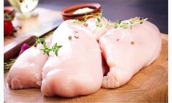 چالش‌ها و آینده تولید «گوشت مرغ سبز» در ایران