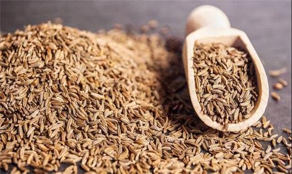 زیره، امیدی تازه برای بهبود باروری در مردان مبتلا به دیابت