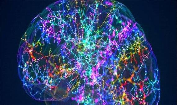 دستاورد جدید دانشمندان آکسفورد و UCL ، تحولی در درمان پارکینسون