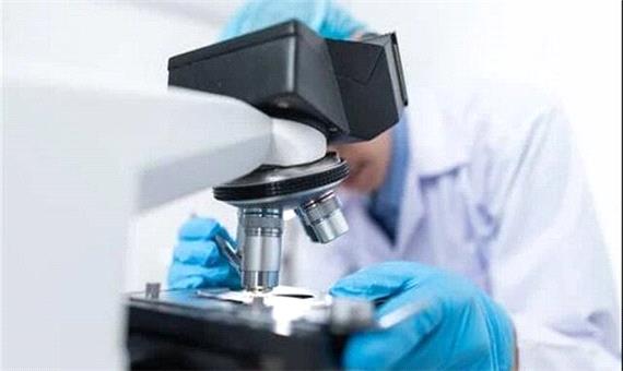 طراحی دستگاه تولید خودکار میکرونیدل تجزیه‌پذیر برای درمان‌های پوستی
