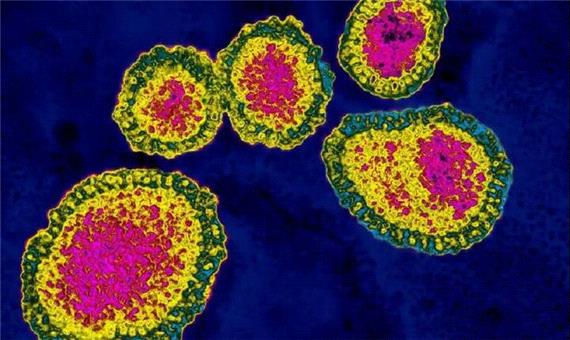 ویروس‌های متقلب شدت آنفلوانزا را کاهش می‌دهند