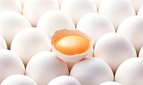 ردپای آنتی‌بیوتیک‌ها در تخم‌مرغ