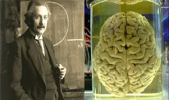 فناوری جدید چین می‌تواند به رمزگشایی مغز اینشتین کمک کند