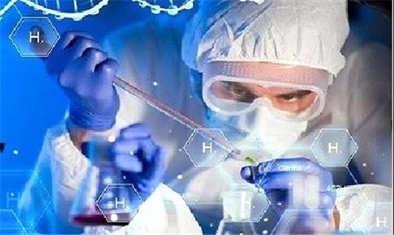 افزایش رشد سنبل‌الطیب با کمک فناوری نانو
