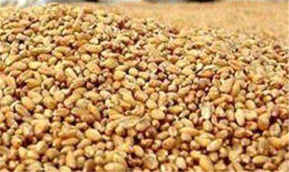 دستیابی به دانش فنی بومی تولید جایگزین کنجاله سویا با استفاده از ضایعات کشاورزی