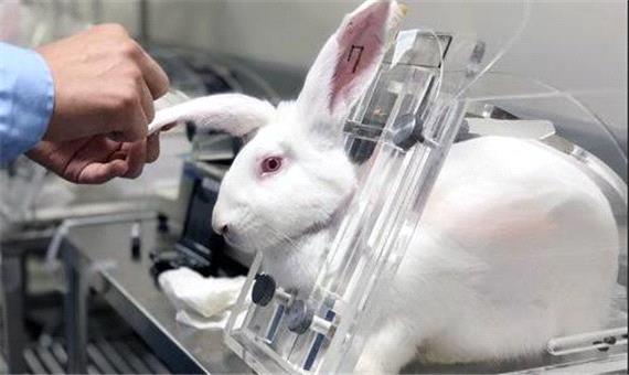 استفاده از روش‌های جایگزین حیوانات آزمایشگاهی، هزینه و زمان تحقیقات را کاهش می‌دهد