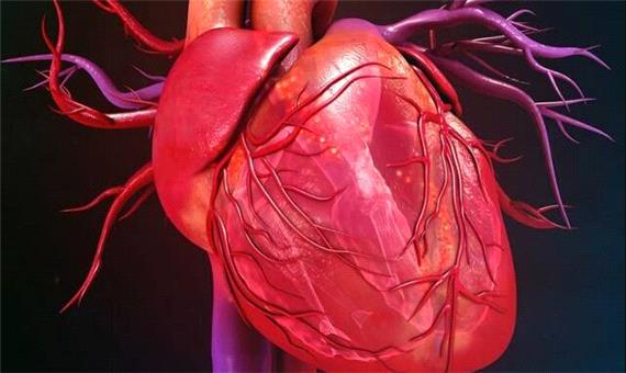 سلول‌های بنیادی، ناجی احتمالی قلب‌های بیمار