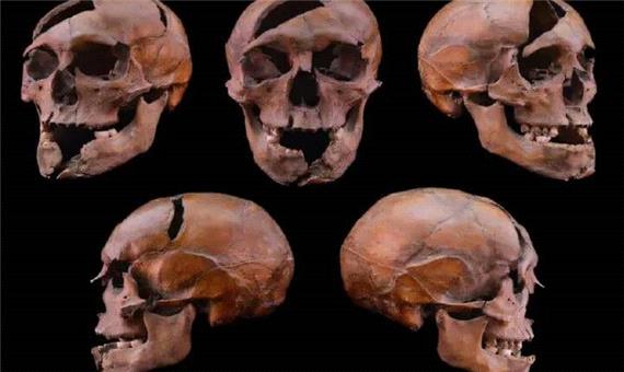 بررسی ژنتیکی، راز قتل دوک جوان را پس از 7 قرن فاش کرد