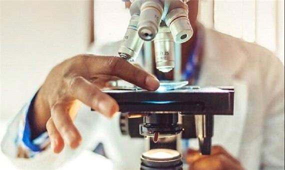 ضعف انسجام علمی، بستر رشد شبه‌علم در ایران را فراهم کرده است