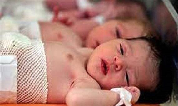 مشاوره سبب افزایش تمایل به فرزندآوری زنان تک‌ فرزند می‌شود