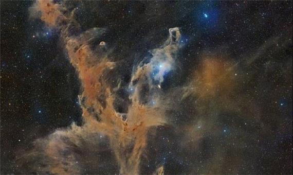 عکس روز ناسا از آفتاب‌پرست کیهانی