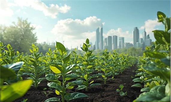 گیاهان دستکاری شده ژنتیکی، سپر زمین در برابر آلودگی