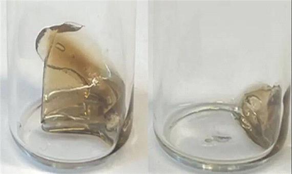 دانشمندان پلاستیک «خودتخریب‌شونده» ساختند